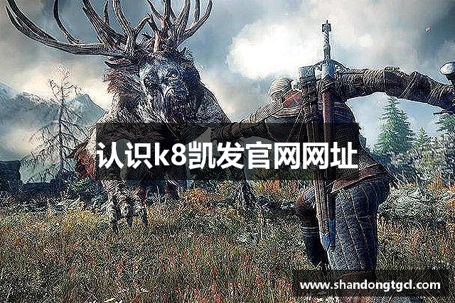 认识k8凯发官网网址